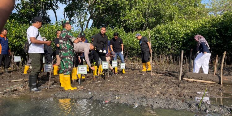 1000 Mangrove Ditanam di Pesisir Kedungmalang Jepara untuk cegah abrasi