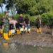 1000 Mangrove Ditanam di Pesisir Kedungmalang Jepara untuk cegah abrasi