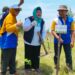 Perum LKBN Antara Gandeng DPR RI Tanam 500 Bibit Pohon di Rembang