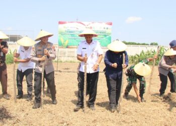 Dukung Swasembada Pangan, Polres Kudus Tanam Jagung Serentak