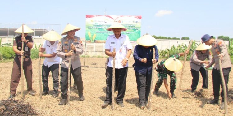 Dukung Swasembada Pangan, Polres Kudus Tanam Jagung Serentak