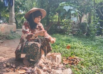 Harga Kakao Kering di Pati Anjlok, Cuma Rp40 Ribu Sekilo