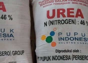 Petani di Rembang Keluhkan Harga Pupuk Subsidi di Atas HET dan Sulit Didapat