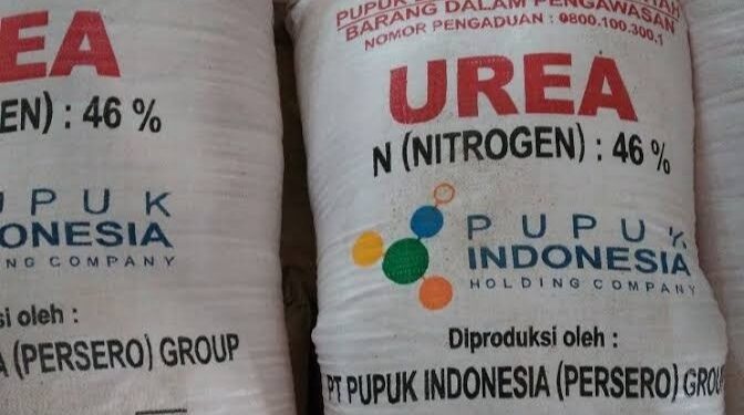 Petani di Rembang Keluhkan Harga Pupuk Subsidi di Atas HET dan Sulit Didapat