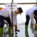 Cegah Abrasi, Bupati Sudewo dan Warga Tanam Bibit Mangrove di Banyutowo