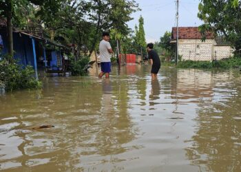 Tanggul Jebol, 700 Rumah di Batangan Pati Terendam Banjir