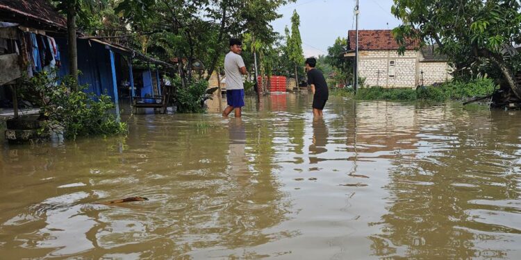 Tanggul Jebol, 700 Rumah di Batangan Pati Terendam Banjir