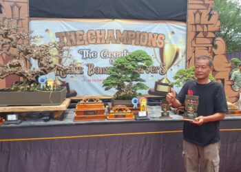 550 Bonsai dari Berbagai Daerah Ikuti Pameran Bonsai Nasional di Kudus