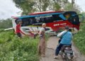 Ikuti Gmaps, Bus Ziarah Walisongo Asal Jatim Tersesat di Hutan Plukaran Pati