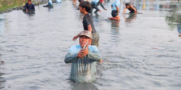 Serunya Tradisi Gogo Bandeng di Bakaranwetan Pati