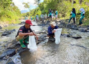 Peringati Hari Santri dan Sumpah Pemuda, IJTI Muria Raya Tabur Benih Ikan di Sungai