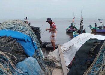 Musim Baratan, Harga Rajungan di Rembang Melonjak hingga Rp110 Ribu Sekilo