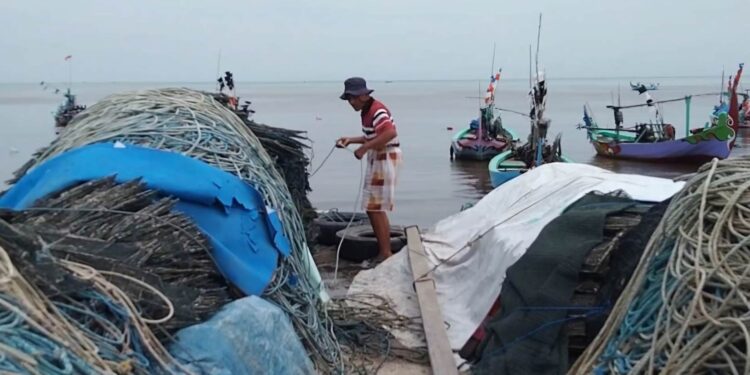 Musim Baratan, Harga Rajungan di Rembang Melonjak hingga Rp110 Ribu Sekilo