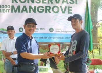 MAN 2 Pati Peringati Harlah ke-30 dengan Tanam Ribuan Mangrove di Tunggulsari