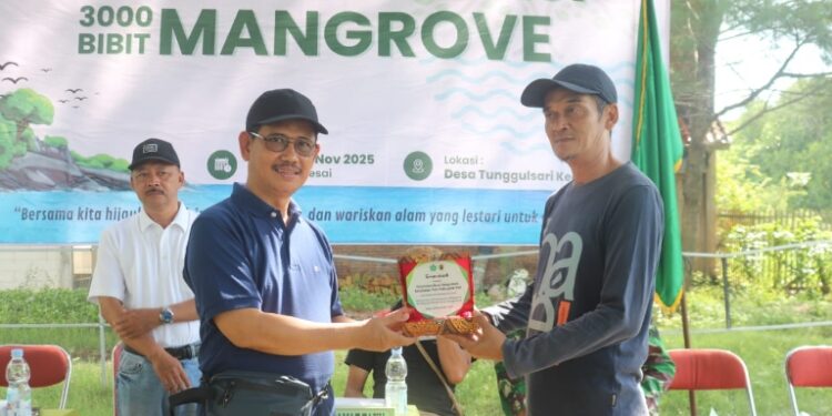 MAN 2 Pati Peringati Harlah ke-30 dengan Tanam Ribuan Mangrove di Tunggulsari