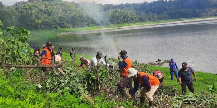 Tanaman Mimosa jadi Ancaman Serius Nelayan Waduk Gunung Rowo