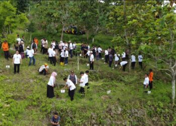 IJTI Muria Raya dan Perhutani Tanam Seribu Pohon di Bukit Salam Grobogan