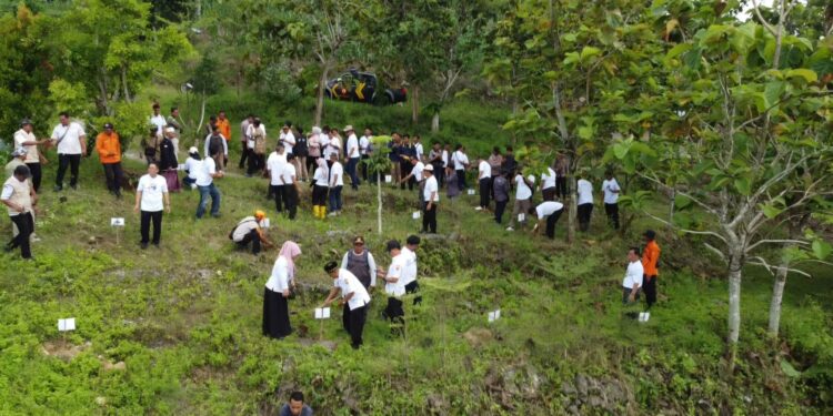 IJTI Muria Raya dan Perhutani Tanam Seribu Pohon di Bukit Salam Grobogan