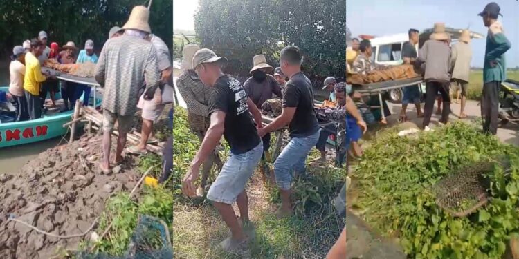 Terjatuh dari Perahu saat Cari Kerang, Nelayan Bakalan Pati Ditemukan Tewas