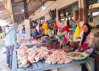 Sejak Ada MBG, Penjualan Daging Ayam di Pasar Puri Pati Anjlok