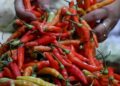 Jelang Nataru, Harga Cabai di Kudus Semakin Pedas, Naik 100 Persen