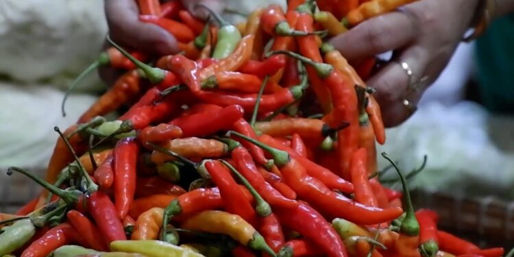 Jelang Nataru, Harga Cabai di Kudus Semakin Pedas, Naik 100 Persen