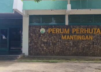 Perhutani Rembang Bantah Isu Pungli Sewa Jalan Tambang Minyak Ilegal di Ngiri