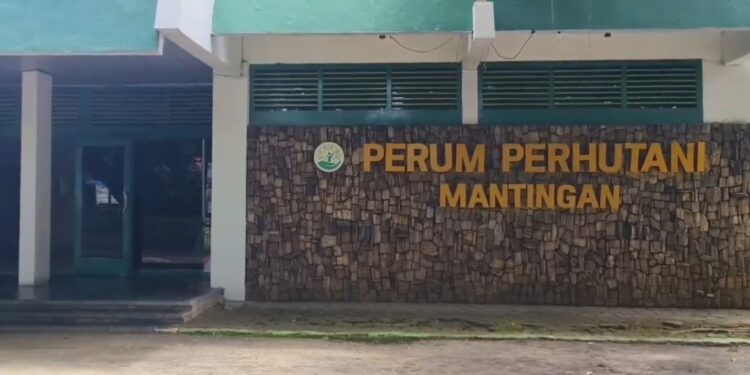 Perhutani Rembang Bantah Isu Pungli Sewa Jalan Tambang Minyak Ilegal di Ngiri