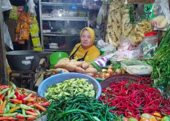 Harga Cabai Setan di Pati Tembus Rp80 Ribu Sekilo