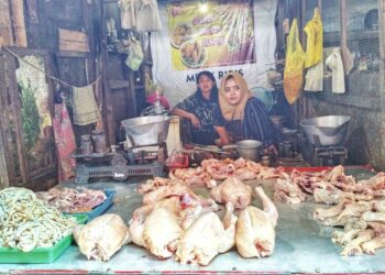 Sejak Ada MBG, Penjualan Daging Ayam di Pasar Puri Pati Anjlok