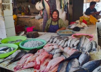 Cuaca Buruk, Harga Ikan Laut di Pati Naik Cukup Tinggi