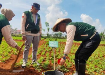 Jaga Bumi, Kemenag Pati Tanam 1.000 Pohon di 21 Kecamatan