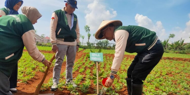 Jaga Bumi, Kemenag Pati Tanam 1.000 Pohon di 21 Kecamatan