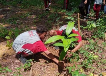 Gerak Nyata Siswa SMP di Pati Tanam Ribuan Pohon di Kendeng