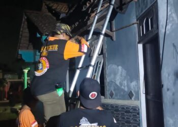 Nekat Evakuasi Sarang Tawon, Warga Kudus Tewas Tersengat