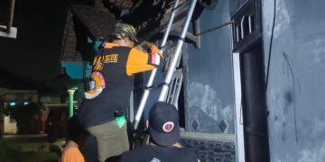 Nekat Evakuasi Sarang Tawon, Warga Kudus Tewas Tersengat