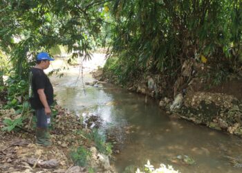 Heboh Penemuan “Harta Karun” di Sungai Wegil Pati