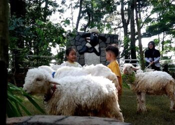 Bermain “Salju” dan Edukasi Satwa di Pijar Park, Destinasi Liburan Favorit di Kudus