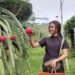 Wisata Petik Buah Naga di Jollong Pati jadi Tempat Liburan Favorit Keluarga