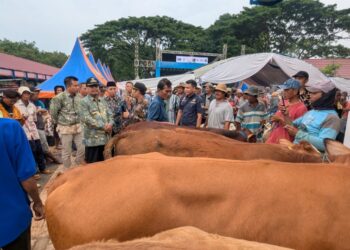 Bupati Rembang Resmikan Pasar Hewan Pamotan yang Habiskan Rp3,3 Miliar