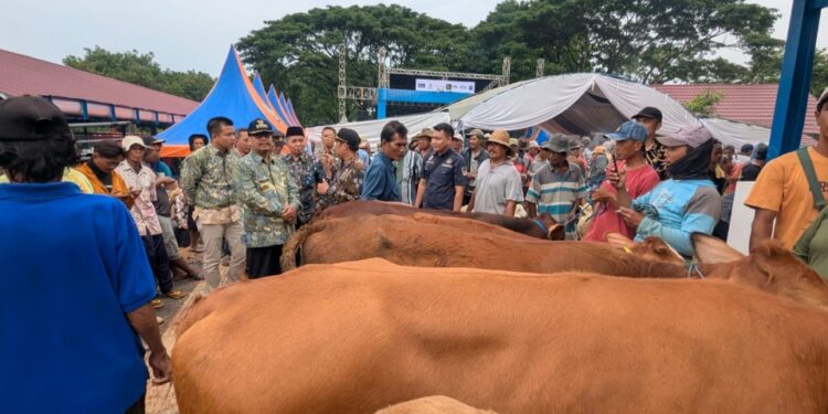 Bupati Rembang Resmikan Pasar Hewan Pamotan yang Habiskan Rp3,3 Miliar