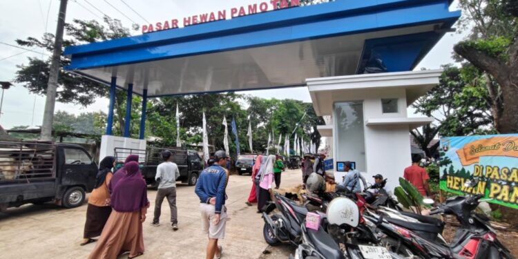 Pemkab Rembang Akan Ajukan Bankeu untuk Bangun Pasar Hewan Pamotan Tahap II