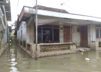 3 Pekan Banjir Pati: 45 Desa Masih Terendam, 1.060 Warga Mengungsi