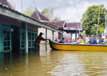 3 Pekan Banjir Pati, BPBD Ungkap Penyebab Genangan Sulit Surut