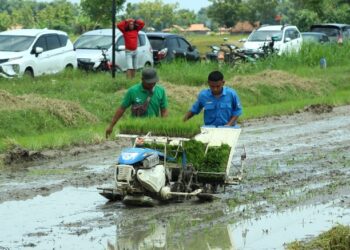 Produksi Pertanian dan Peternakan di Rembang di 2025 Naik 6,84 Persen