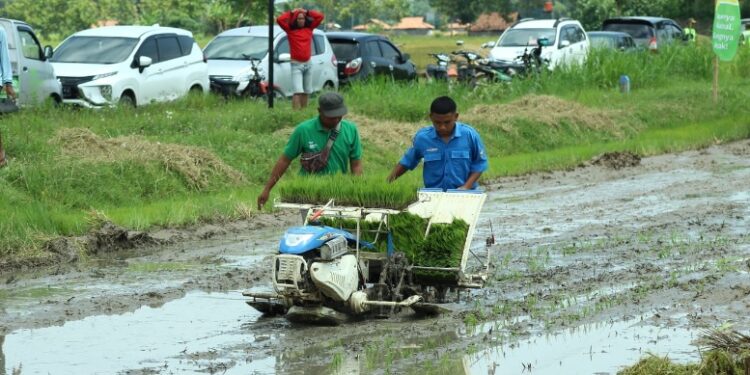 Produksi Pertanian dan Peternakan di Rembang di 2025 Naik 6,84 Persen