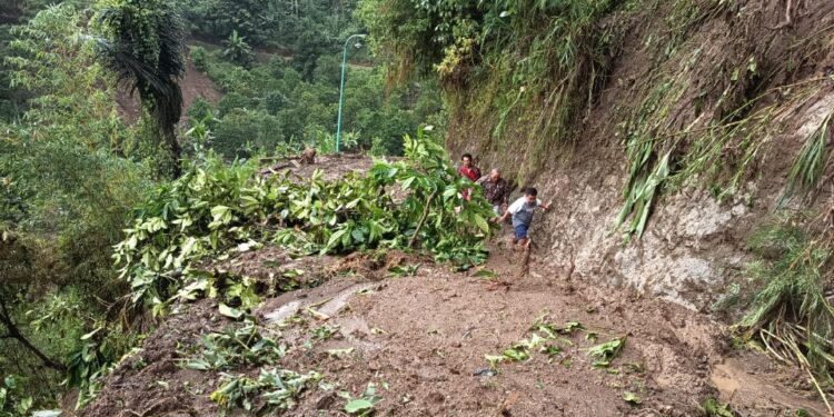 Jalan Tertimbun Longsor, Warga Pulingan Pati Terisolasi