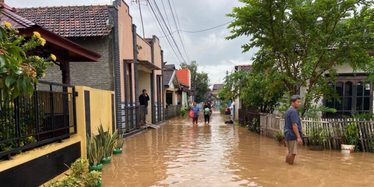 Langganan Banjir Sejak 1993, Warga Kalidoro Pati: Mulai SD Sampai Beranak Banjir Terus