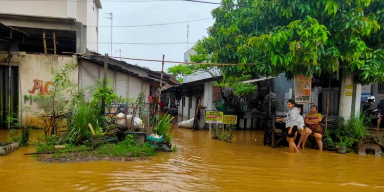 Banjir Semampir Pati: Ratusan Rumah Terendam, Seratusan Tambak Jebol