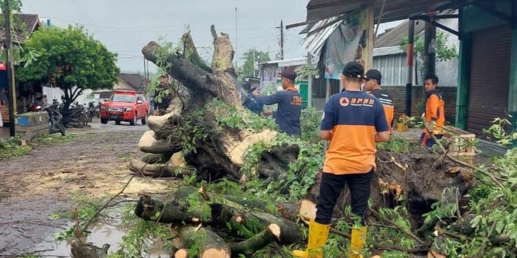 Banjir hingga Tanah Longsor Landa 7 Kecamatan di Rembang